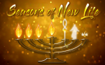 Seasons of New Life (menorah in background)